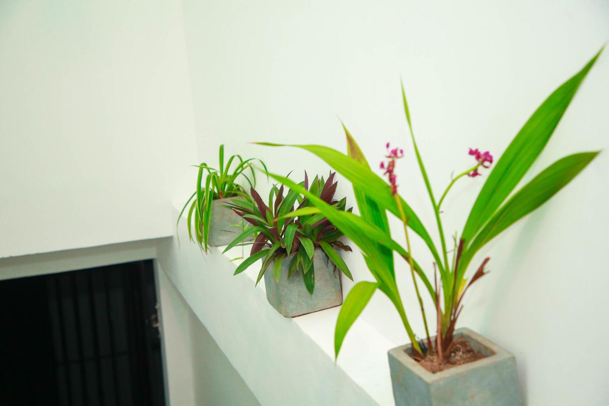 Samee Dream Guest Hotel Midigama Timur Bagian luar foto